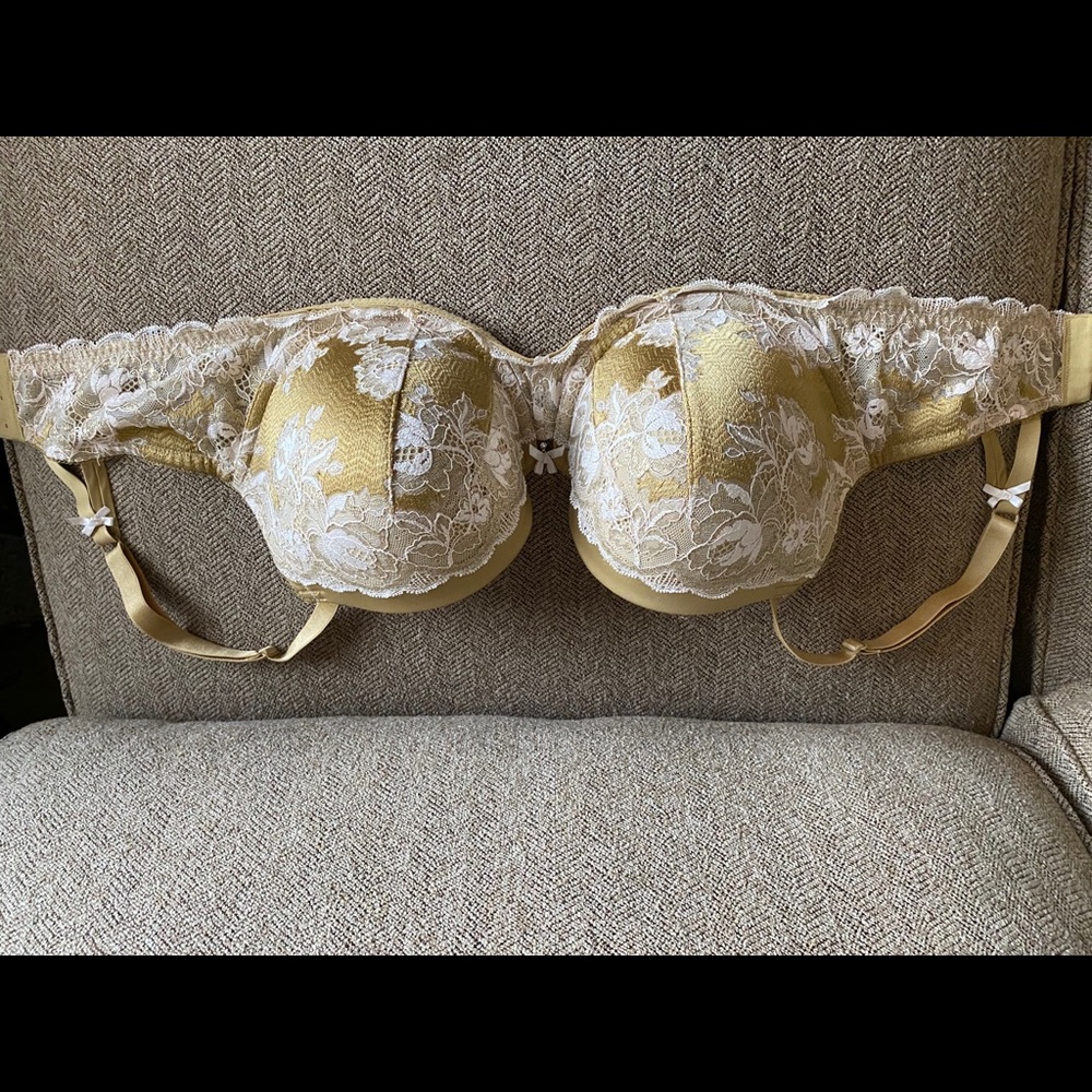 Victoria’s Secret Dream Angel Demi and panty